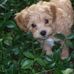 Debbie Richmond - Facebook