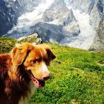 Wifi - @wifi_en_debroers - Instagram