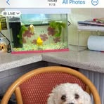 Debbie Rutter - Facebook