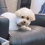 Deb - @deb_.sanchez - Instagram