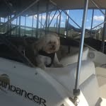Deb - @debscheer49 - Instagram