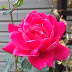 Deb Schell - @cre8today - Instagram