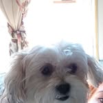 Deb Schell - @schell.deb - Instagram