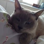 Deb Schindler - @debschindler - Instagram