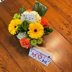 Debbie Schindler - @debbie.schindler - Instagram