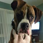 Deb Schroeder - @deb51572 - Instagram
