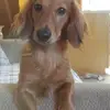 Deb Schubert292 - @debschubert1 - TikTok