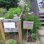 Deb Sears - @fetid64604 - Instagram