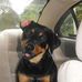 Deborah Hazlett - Facebook