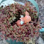 Deb Seibert - @seibd83 - Instagram