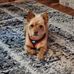 Deb Seibert - Facebook