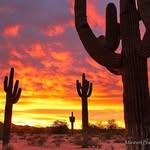 Debbie  Seibert - @debbieseibert6754 - Instagram