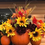 Deb Hoyer Sherman - @debsherman12 - Instagram