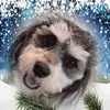 Deb Sherman965 - @debsherman961 - TikTok