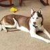 Deb Sherman - Facebook