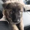 Debbie Shrader - @debbie.shrader - TikTok