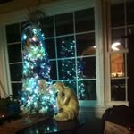 Deb D'Orazio Silverman - @silverman_deb - Instagram