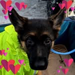 Deb Harris - @deb.silverman - Instagram