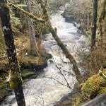 Deb Simon - @deb.simon.583 - Instagram