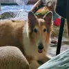 DebSimon - @planetsimon - TikTok