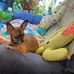 Deb Sims - Facebook