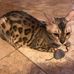 Deb Skinner - Facebook