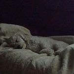 Deb Skinner - @skinner.deb - Instagram