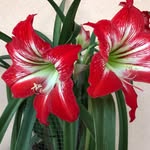 Deb Skinner - @pdskinner101 - Instagram