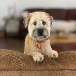 Deb Skinner Belyeu - @debskinnerbelyeu - Instagram