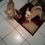 Debra Slater - @debra.slater - Instagram