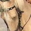 deborahslaughter1 - @deborahslaughter1 - TikTok