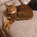 Deb Slye - Facebook