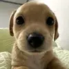 lily - @debsly - TikTok
