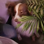 Deb Smythe - Facebook