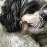 Deb Snyder - @debkdsnyder - Instagram