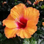 Deb Snyder - @deb.snyder.505 - Instagram