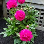 Deb Somers Winkler - @debwinkler - Instagram