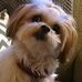 Debra Somers - Facebook
