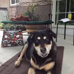 Deb Sommers - @sommers4530 - Instagram
