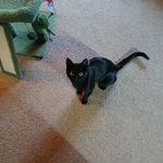 Debbie Sowers - @debbie.a.sowers - Instagram