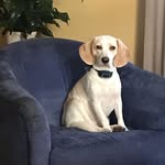 Debbie Sowers - @debbie.sowers - Instagram