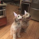 Deborah Sowers - @deborah.sowers.12 - Instagram