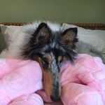 Deb Spahn - @dialdebbie2 - Instagram