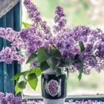 Deb Spangler - @gitove9025 - Instagram