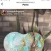 debispangler - @debispangler - TikTok