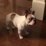 Deb Spaulding - @waltersmamma - Instagram