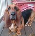 Debbie Spaulding - Facebook