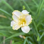 Debbie Spaulding Putnam - @debbiedoodrop - Instagram