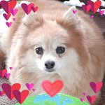 Debra Kay Dargin-Spaulding - @darginspaulding - Instagram