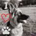Deb Spear - Facebook
